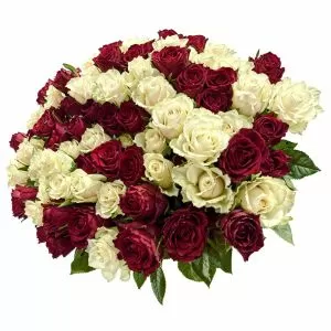Luxury Red and White Roses