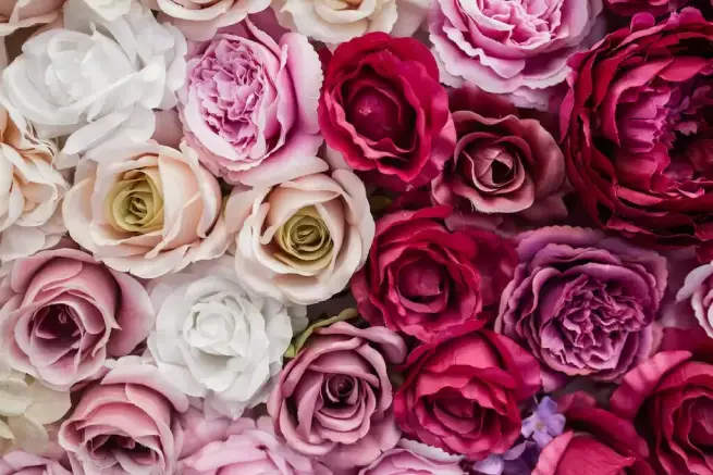 Hand-tied Bouquets